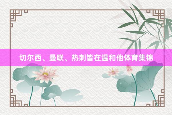 切尔西、曼联、热刺皆在温和他体育集锦