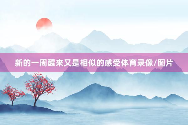 新的一周醒来又是相似的感受体育录像/图片