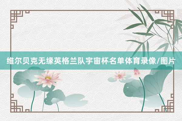 维尔贝克无缘英格兰队宇宙杯名单体育录像/图片