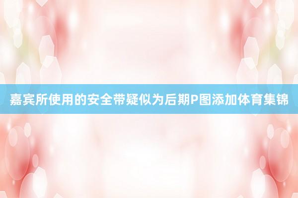 嘉宾所使用的安全带疑似为后期P图添加体育集锦
