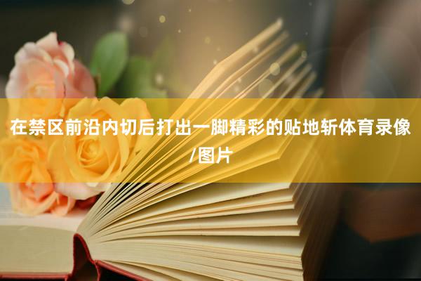 在禁区前沿内切后打出一脚精彩的贴地斩体育录像/图片