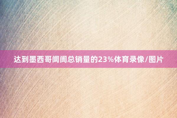 达到墨西哥阛阓总销量的23%体育录像/图片