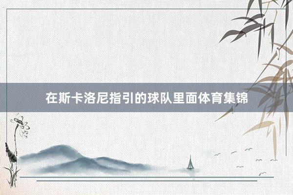 在斯卡洛尼指引的球队里面体育集锦