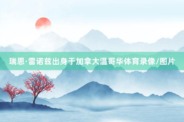瑞恩·雷诺兹出身于加拿大温哥华体育录像/图片