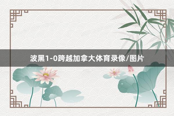 波黑1-0跨越加拿大体育录像/图片